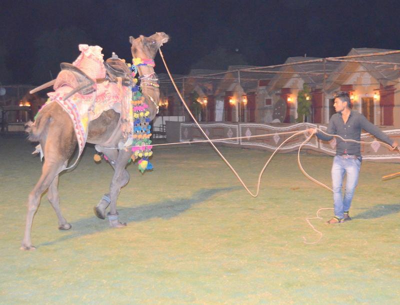 Hotel Vijayvargiya Dhani Bikaner Zewnętrze zdjęcie